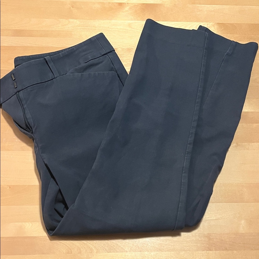 Loft Marissa Skinny Pants